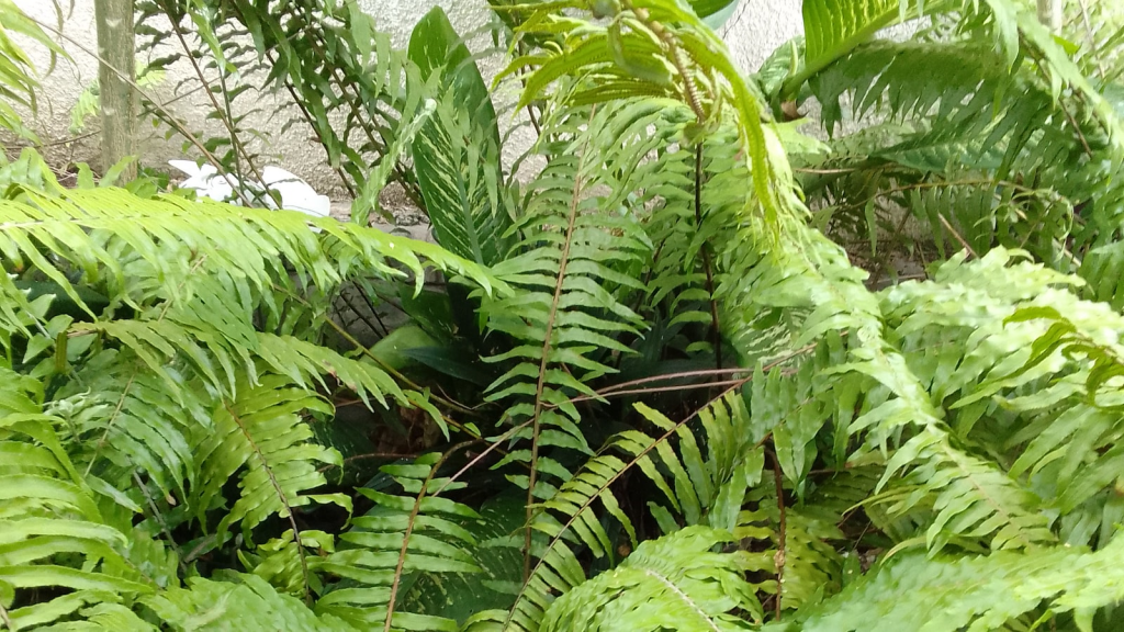 Exploring the History and Design of Altamont Garden Exploring the History and Design of Altamont Garden
