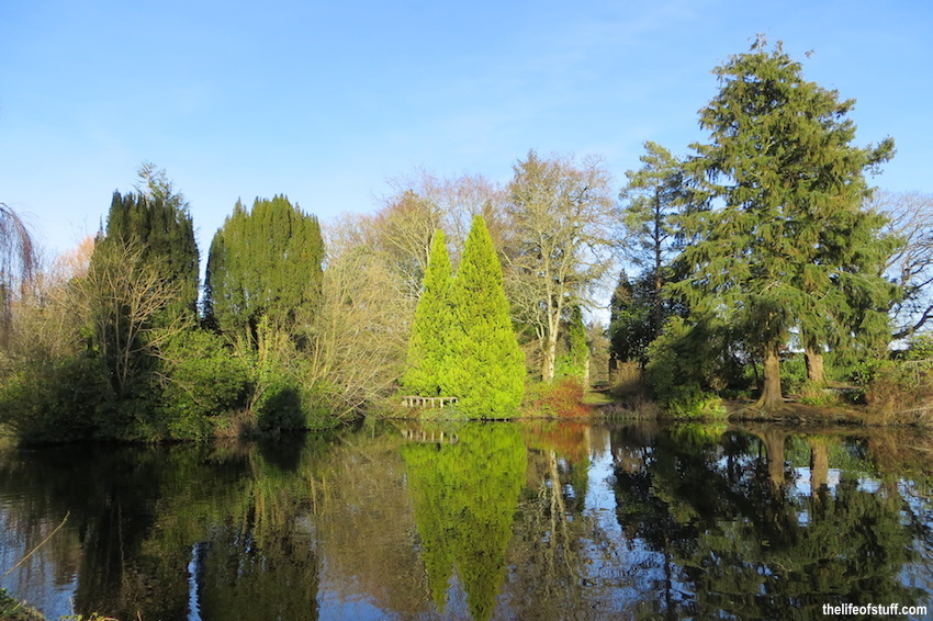 The history of Altamont Gardens: From ancient oak woods to a formal garden paradise