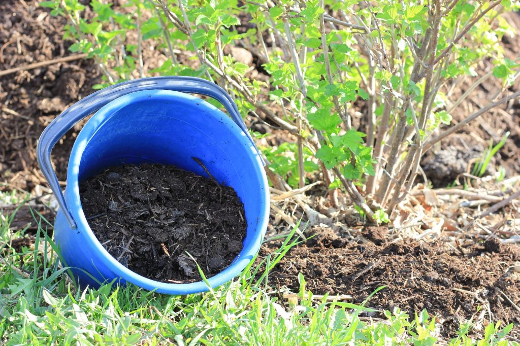 The Benefits of Green Manures for Soil Health and Crop Production