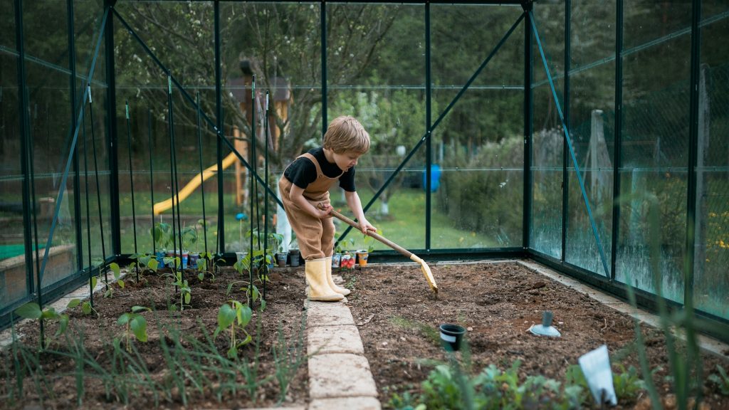 The Importance of Crop Rotation: Tips for Keeping Your Soil Healthy