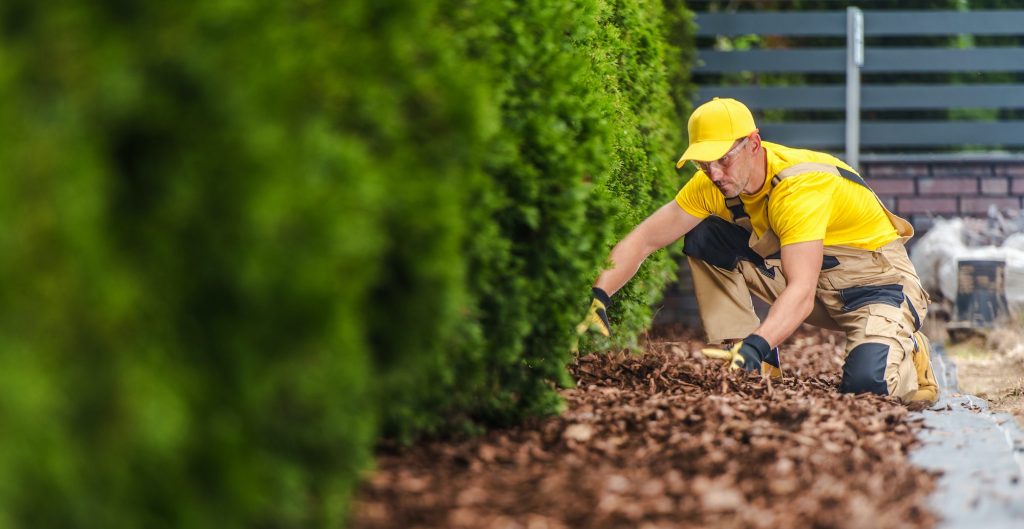 The Benefits of Using Mulch in Your Garden: How to Choose the Right Type