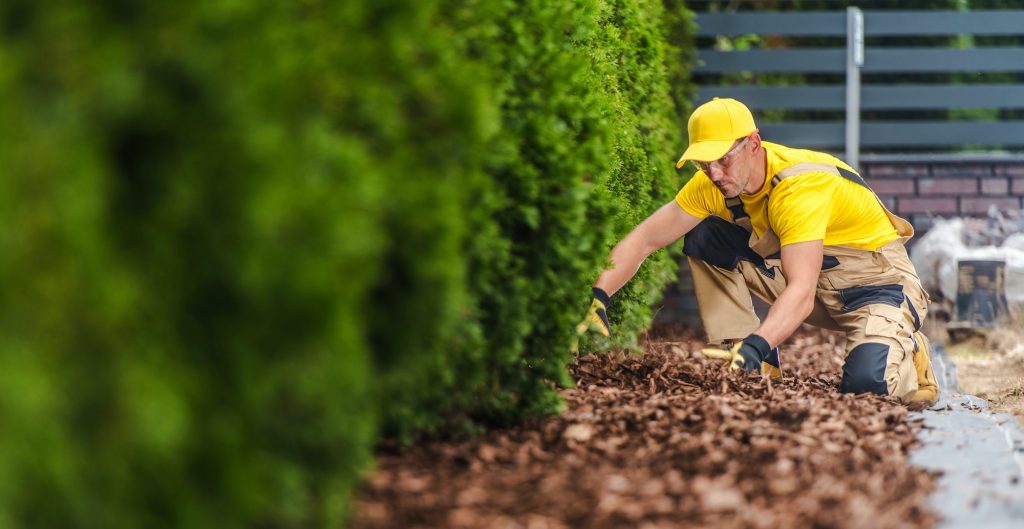 The Benefits of Using Mulch in Your Garden: How to Choose the Right Type The Benefits of Using Mulch in Your Garden: How to Choose the Right Type