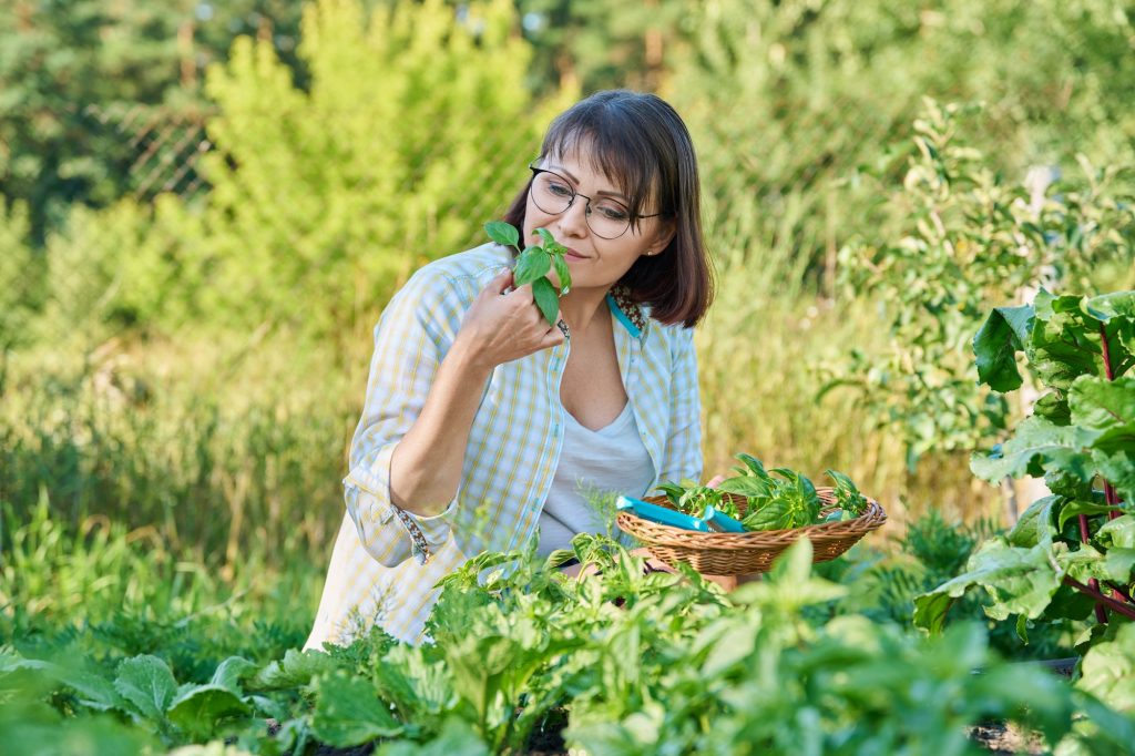 The Top 10 Culinary Herbs to Grow in Your Garden