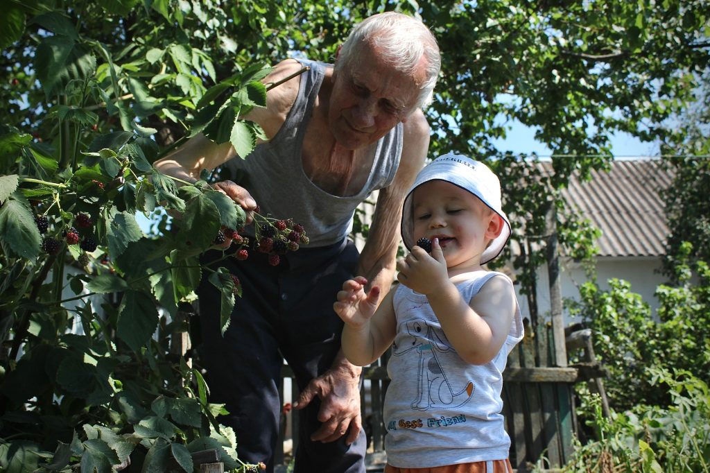 The Benefits of Growing Your Own Berries: Tips for a Sweet Harvest The Benefits of Growing Your Own Berries: Tips for a Sweet Harvest