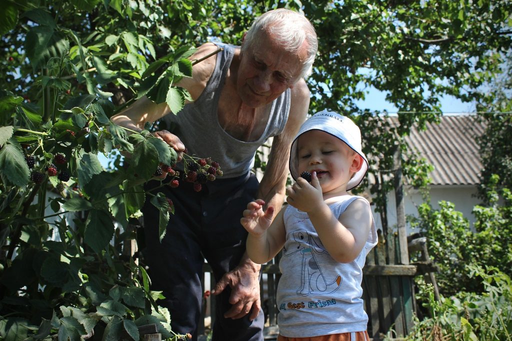 The Benefits of Growing Your Own Berries: Tips for a Sweet Harvest