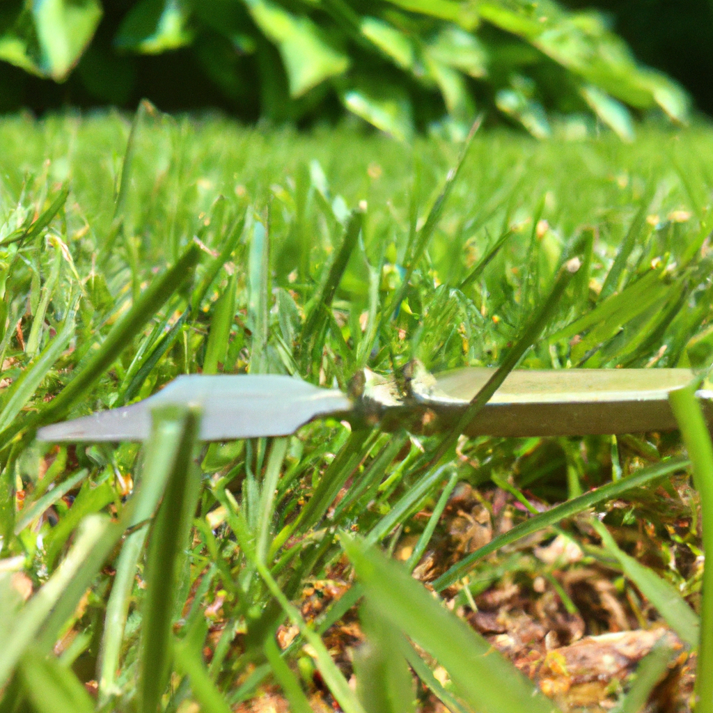 How to Achieve Perfectly Trimmed Edges with This Unpopular Garden Tool